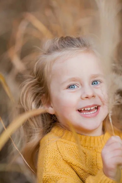 Linda Niña Años Juega Parque Brillante Otoño Retrato Niño Feliz —  Fotos de Stock