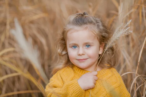 Aranyos Kislány Éves Játszik Őszi Fényes Parkban Egy Boldog Gyermek — Stock Fotó