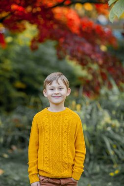 Parlak sonbahar parkında 7 yaşında şirin bir çocuk oynuyor. Mutlu bir çocuğun portresi.