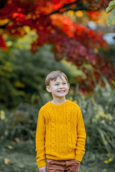 Söt Liten Pojke Spelar Höstens Ljusa Park Porträtt Ett Lyckligt — Stockfoto