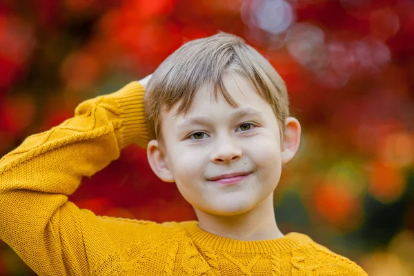 Söt Liten Pojke Spelar Höstens Ljusa Park Porträtt Ett Lyckligt — Stockfoto