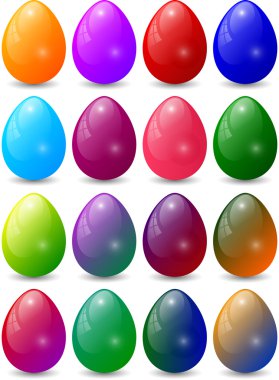 renkli yumurta toplama kümesi