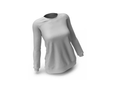 Kadın Kazağı 3D Görüntü İzole Arkaplan Sahnesi