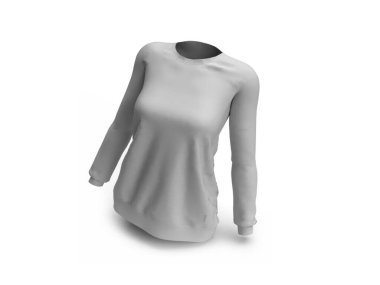 Kadın Kazağı 3D Görüntü İzole Arkaplan Sahnesi