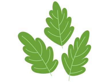 Soyut yapraklarla ayarlanmış. Moda yeşillik koleksiyonu. Vektör illüstrasyonu