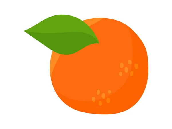 Abstrakte Früchte Orangen Modernes Design Für Poster Karten Verpackungen Und — Stockvektor