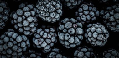 donmuş böğürtlen, makro, üst manzara