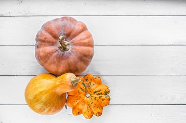 beyaz renkli ahşap masa üzerinde kabaklar ve turuncu kabaklar, üst manzara, metin için boş alan