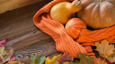 Cadılar Bayramı balkabakları örülmüş turuncu süveter, ahşap masanın üzerine düşmüş yapraklar.