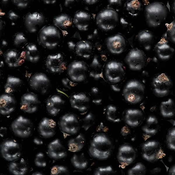 Black Currant Background Top View — Stock Photo, Image