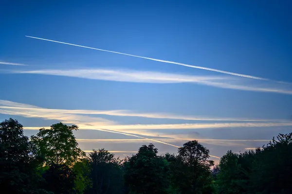 白い雲と夕暮れ時の暗い青空 飛行機 飛行機 のコントライルが空を横切って広がっています 水平線の木々のシルエット 夕日のすぐ後に雲とコントライルで空の景色 — ストック写真