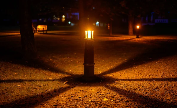 Lámpara Luz Por Noche Parque Con Sombras Patrón Circular Luz —  Fotos de Stock