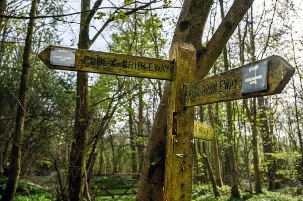 Leith Hill Holmbury Mary Surrey Signpost Greensand Way Leith Hill — Foto Stock