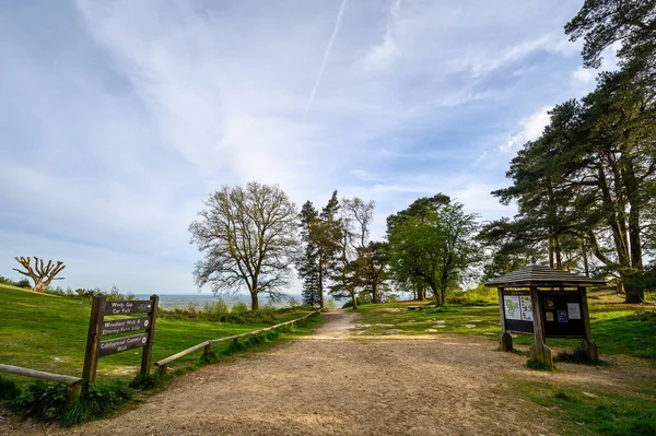 Leith Hill Surrey Footpath Greensand Way Cima Leith Hill Parte — Foto Stock