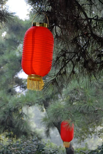 Changsha Hunan Province China Traditional Red Chinese Lanterns Hanging Trees — Stock Photo, Image