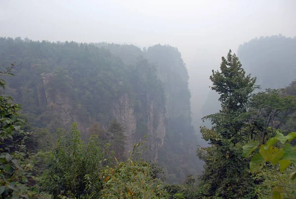 中国湖南省张家界国家森林公园 张家界的云雾群山和森林风景 这个中国国家公园以其高大的岩石尖顶 树木和蜿蜒的雾气而闻名 — 图库照片