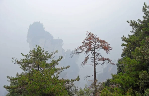 Zhangjiajie National Forest Park Provincia Hunan China Montañas Brumosas Paisajes — Foto de Stock