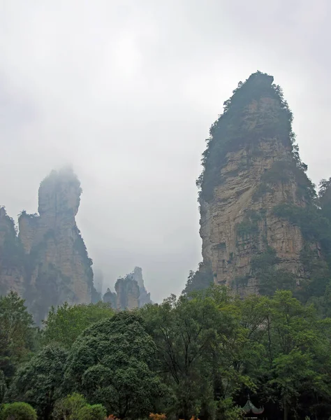Національний Лісовий Парк Чжан Яджі Провінція Хунань Китай Туманні Гори — стокове фото
