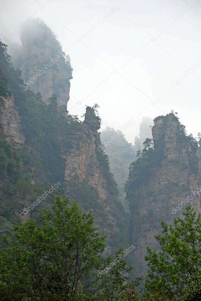 Zhangjiajie National Forest Park, Hunan Province, China: Misty mountains and forest scenery in Zhangjiajie. This Chinese national park is famous for its tall rocky pinnacles, trees and swirling mist.