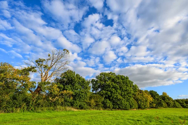 Landschaft Der Nähe Von Westerham Kent Großbritannien Ein Grasbewachsenes Feld — Stockfoto