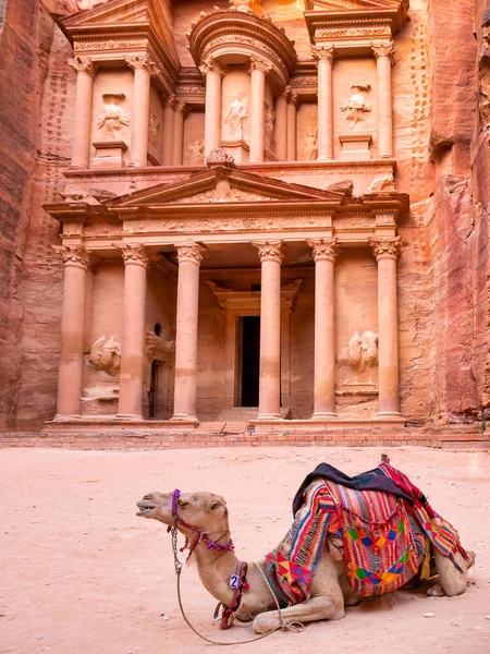 Jazneh Tesoro Uno Los Templos Más Elaborados Antigua Ciudad Petra — Foto de Stock