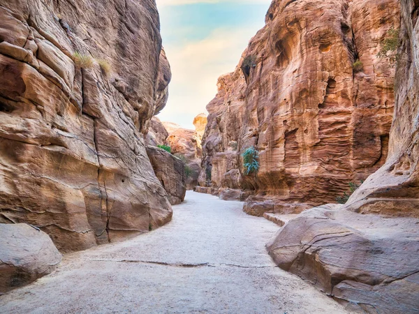 Immagine Con Siq Passaggio Naturale Attraverso Pareti Roccia Rossa Che — Foto Stock