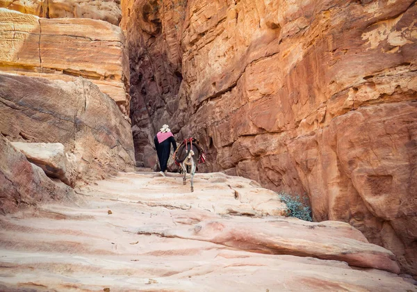 Arabisk Kvinna Rider Åsna Deir Trail Kloster Spår Den Antika — Stockfoto