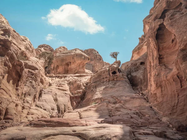 Magányos Keresztül Vörös Homok Sziklák Kövek Elhagyatott Területen Petra Jordánia — Stock Fotó