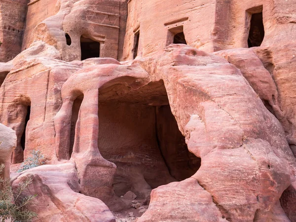 Forntida Bostäder Ristade Röd Sandsten Staden Petra Jordanien Detalj Med — Stockfoto