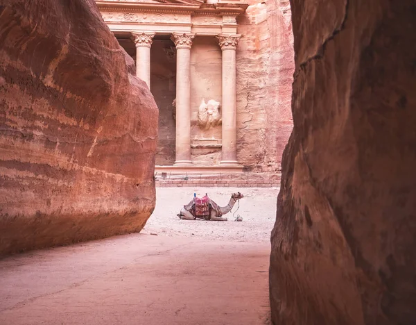 Khazneh Skattkammaren Ett Mest Genomarbetade Templen Den Antika Staden Petra — Stockfoto