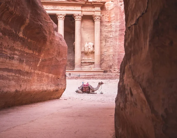 Khazneh Skarb Jedna Najbardziej Rozbudowanych Świątyń Starożytnym Mieście Petra Jordania — Zdjęcie stockowe