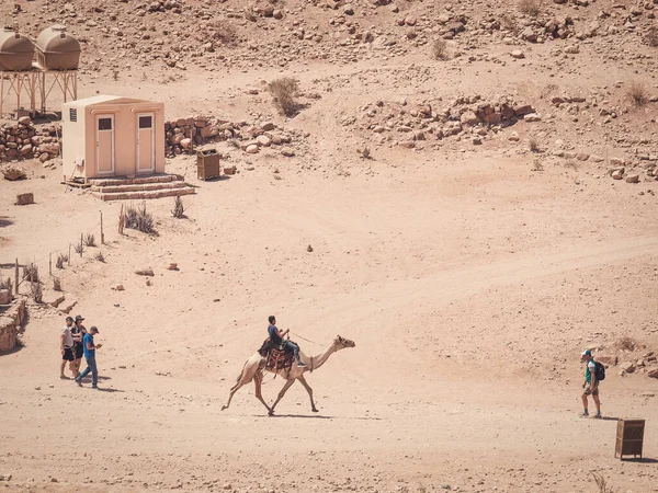 Petra Jordânia 2021 Guia Beduíno Local Montando Camelo Deserto Petra — Fotografia de Stock
