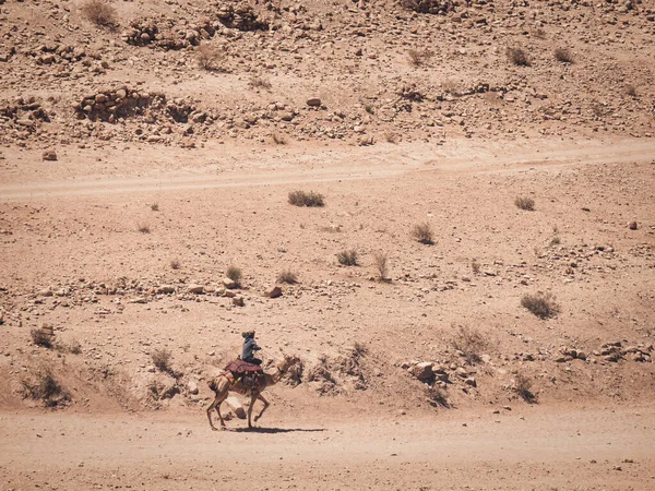 Guia Beduíno Local Montando Camelo Deserto Petra Jordânia — Fotografia de Stock