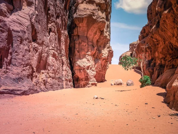 Abu Khashaba Kanjon Wadi Rum Röd Klippa Öken Jordanien — Stockfoto