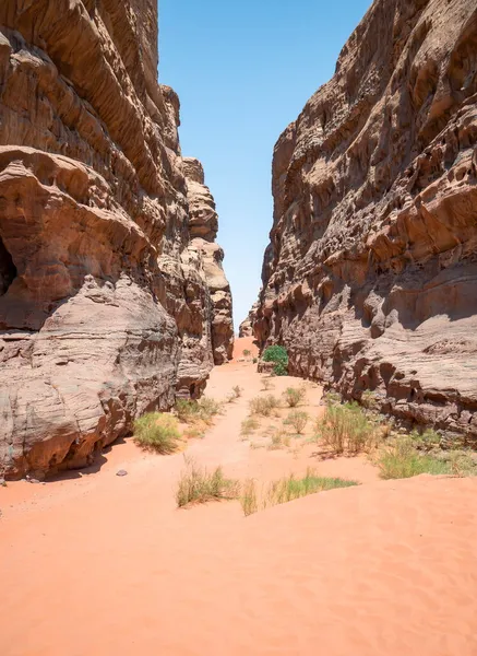 Canyon Abu Khashaba Wadi Rum Deserto Rocha Vermelha Jordânia — Fotografia de Stock