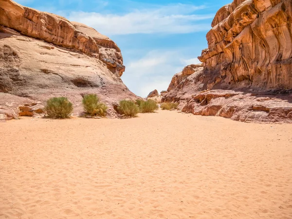 요르단 사막에 아부하 샤바좁은 — 스톡 사진