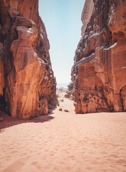 요르단 사막에 아부하샤 — 스톡 사진