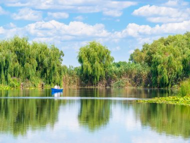 Romanya 'nın Bükreş kenti yakınlarındaki Comana Doğal Parkı' nın Comana Gölü 'nün manzarası.