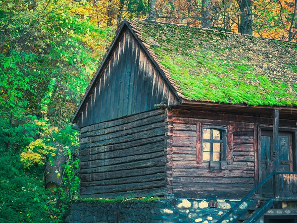 Vecchia Casa Epoca Legno Nella Foresta Casa Rustica Rumena Abbandonata — Foto Stock