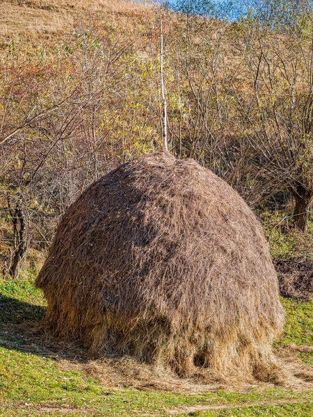 Красивый Деревенский Пейзаж Деревне Магура Румыния Коровами Пасущимися Рядом Стогом — стоковое фото