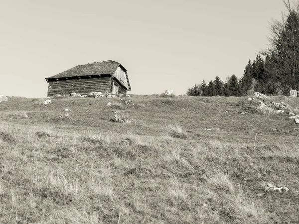 Romanya Nın Carpathain Dağları Ndaki Terk Edilmiş Eski Bir Ahşap — Stok fotoğraf
