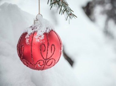 Dalları karla kaplı bir çam ağacında kırmızı Noel süsleme küresi. Kış tatili kartpostalı