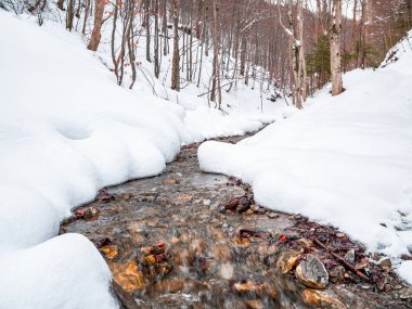 Beyaz donmuş karın altında akan bir dağ deresinin minimalist resmi..
