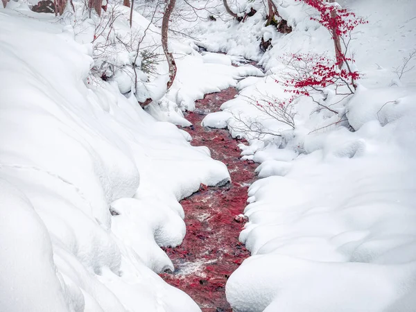Imagen Minimalista Abstracta Torrente Sanguíneo Rojo Que Fluye Bajo Nieve —  Fotos de Stock