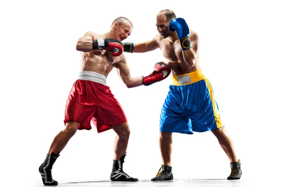 Professional Box Figters Isolated White — Foto Stock