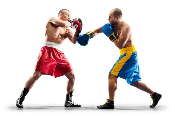 Professional Box Figters Isolated White — Foto de Stock