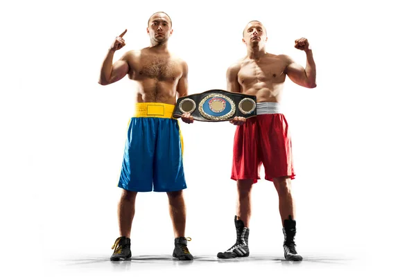 Professional Box Figters Isolated White — Foto Stock