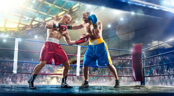 Two Professional Box Figters Grand Ring Arena — Stock Photo, Image