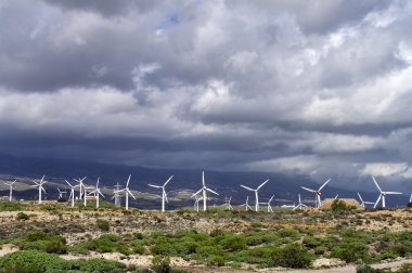 tenerife, Kanarya Adaları elektrik üreten Rüzgar türbinleri