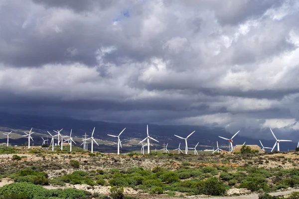 tenerife, Kanarya Adaları elektrik üreten Rüzgar türbinleri